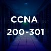 The Complete Agentic AI Engineering Course (2025)